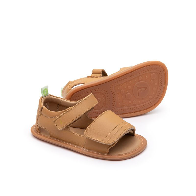 AE.SLE1-2994_-0-