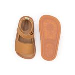 AE.SLE1-2994_-2-