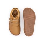 CB.CAS1-4317_-3-