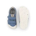 CB.RAG1-4488--3-