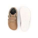 CB.CAS1-4514_-3-