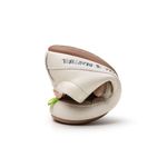 AE.BSW1-4546_-2-