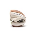 AE.BSW1-4545_-2-