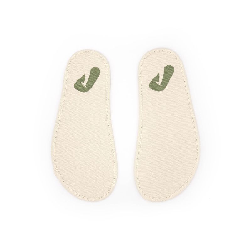 CB.RAG2-3562_-6-