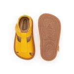 AE.PAR1-4489_-2-