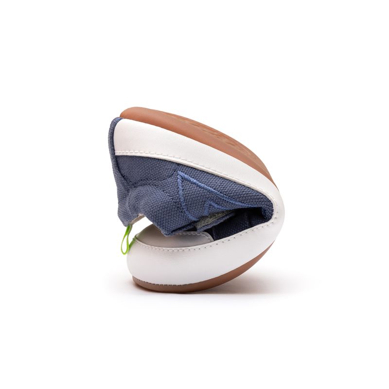 AE.DAG1-3562_-1-