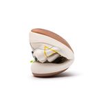 AE.OUT1-4568_-1-
