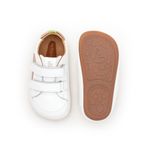 AE.HOP1-3608_-2-