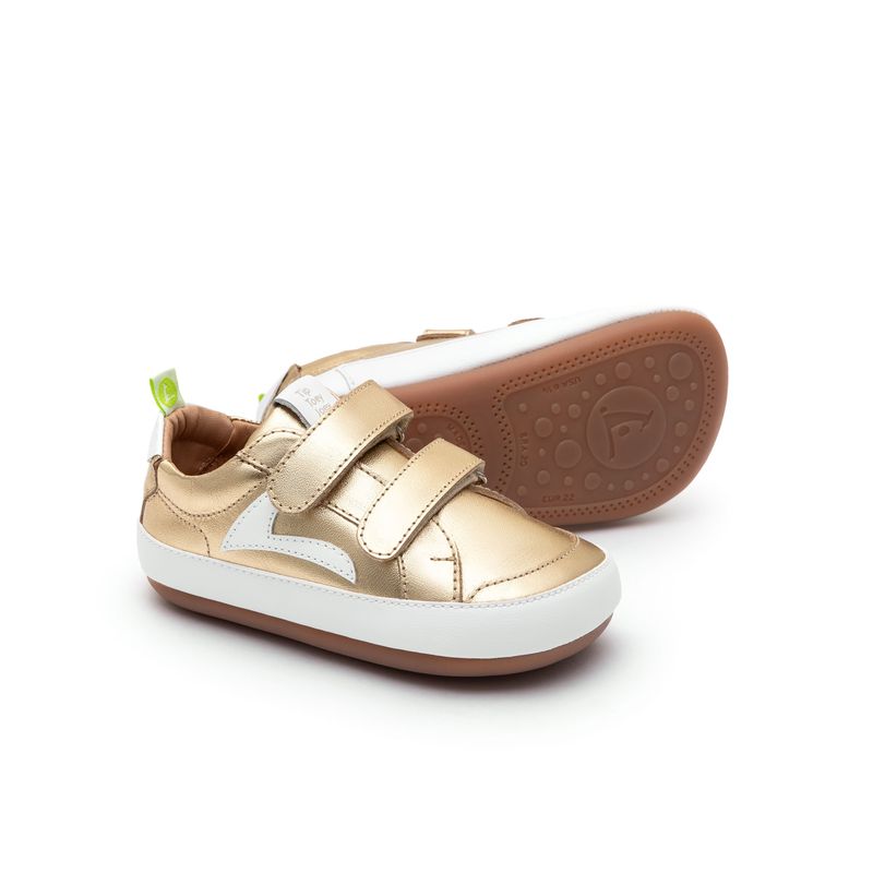 AE.HOP1-4569_-0-