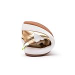 AE.HOP1-4569_-1-
