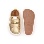 AE.HOP1-4569_-2-