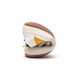 AE.HOP1-4550_-1-