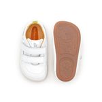 AE.LAN2-2043_-2-