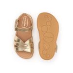 CB.PET1-4555_-3-
