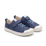 CB.DAG1-3562_-0-