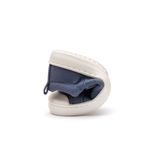 CB.DAG1-3562_-2-