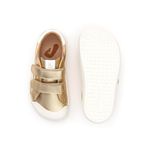 CB.HOP1-4569_-3-