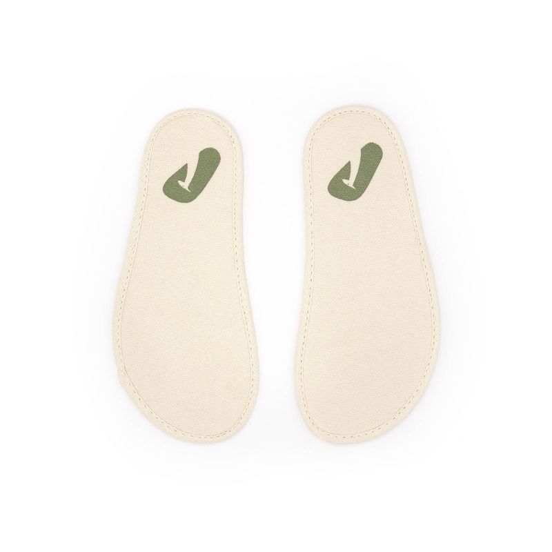 CB.RAG2-4570_-5-