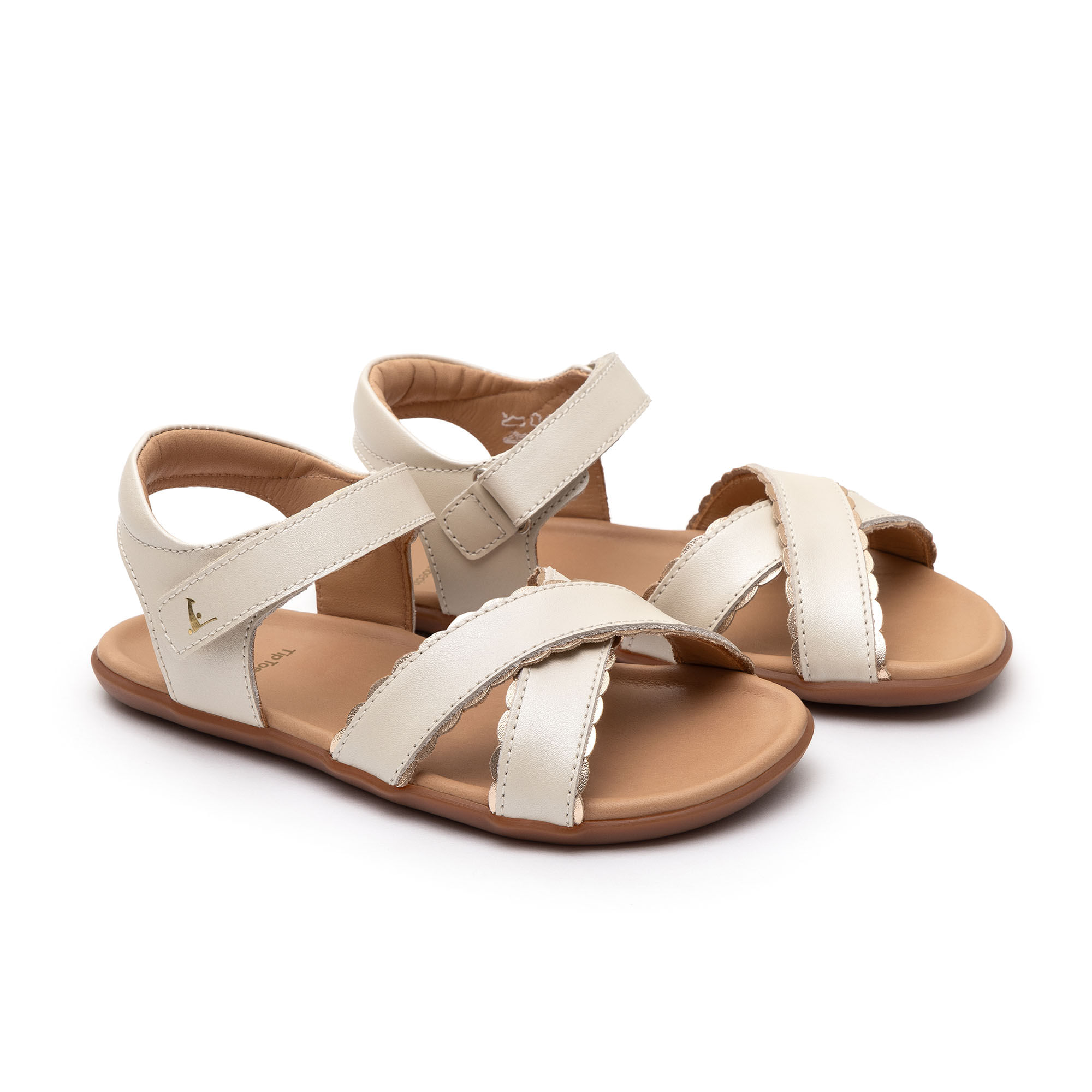 bag-beetle-bsbee1-4479 - Tip Toey Joey