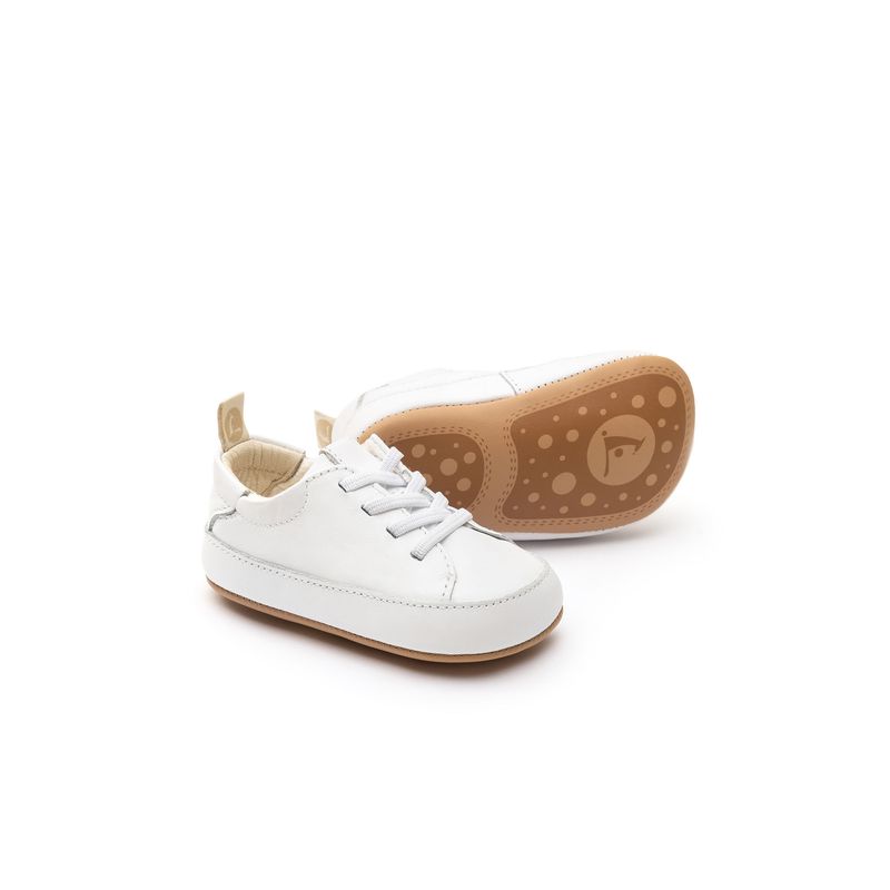 NC.SGE2-2043--0-
