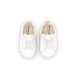 NC.SGE2-2043--1-