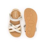 CB.CRC1-4549_-3-