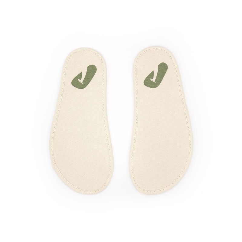 CB.RAG2-4554_-5-