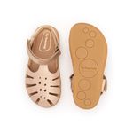 CB.TRO1-4247_-3-